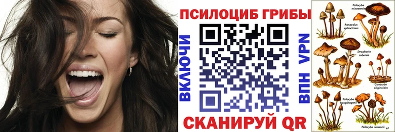 Псилоцибиновые грибы Cubensis  Купить где  Лениногорск 